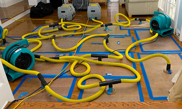 Professional Water Damage Repair technician working in Youngsville, PA